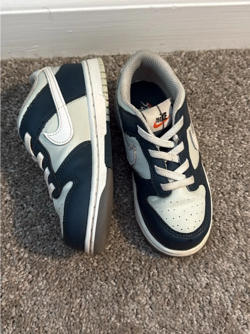 Toddler Nike Dunks